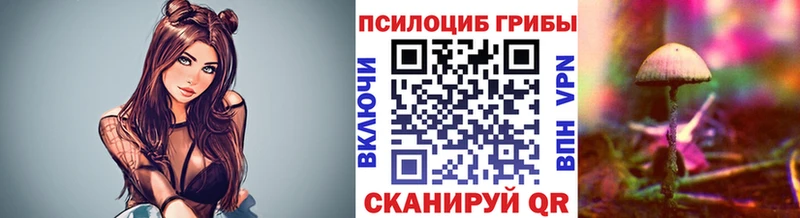 blacksprut ссылки  Саки  Галлюциногенные грибы Cubensis 